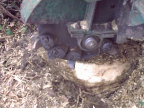 Stump grinder in operation